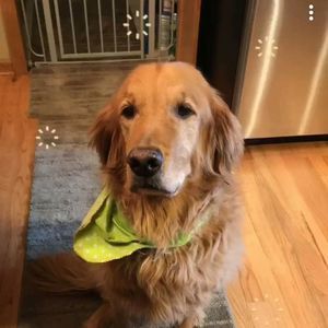 Meet your Posher, Irene